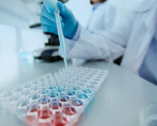 Laboratory worker handling a pipette