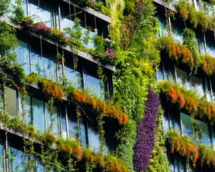Lots of green plants growing from balconies