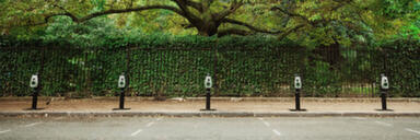 Parking spaces with EV charging points and tree in background