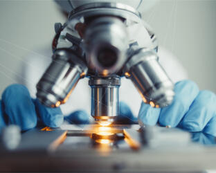 A focused marketing programme Close-up of a microscope being used by a scientest