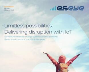 Delivering disruption with IoT Report Screenshot from a report on the internet of things